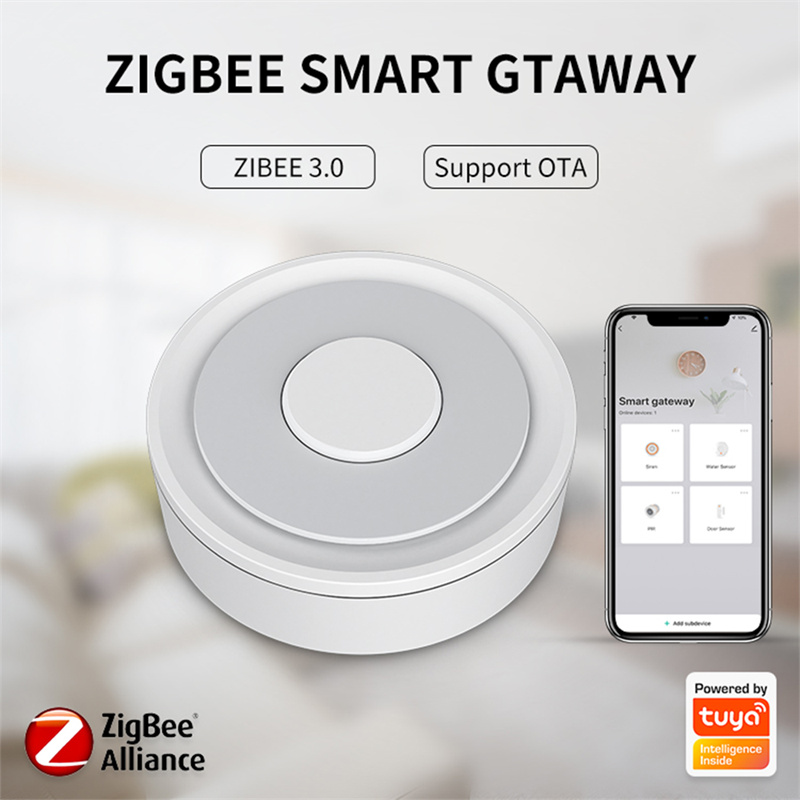 HomeKit ZigBee Gateway Hub Sma – Diy Home Electronics recenzja i cena